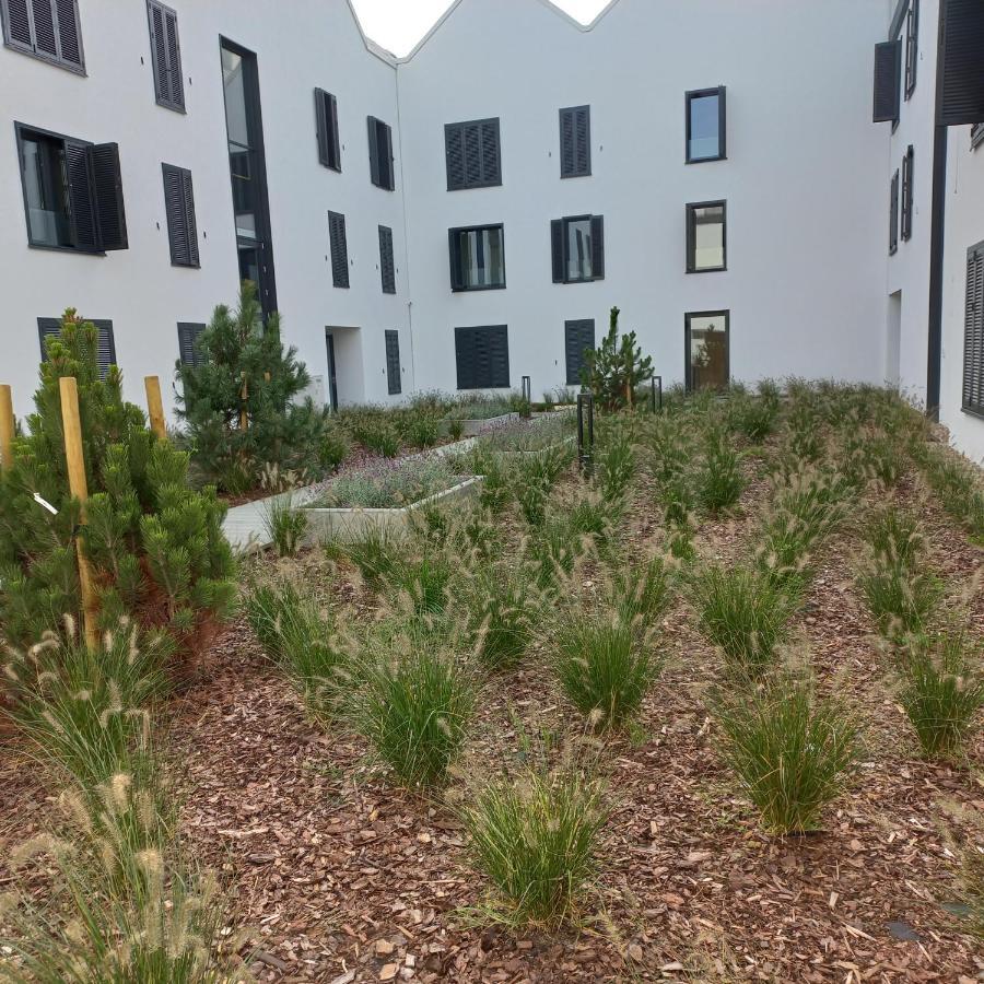 Apartament Orlando W Porto Leba 350M Od Morza Esterno foto